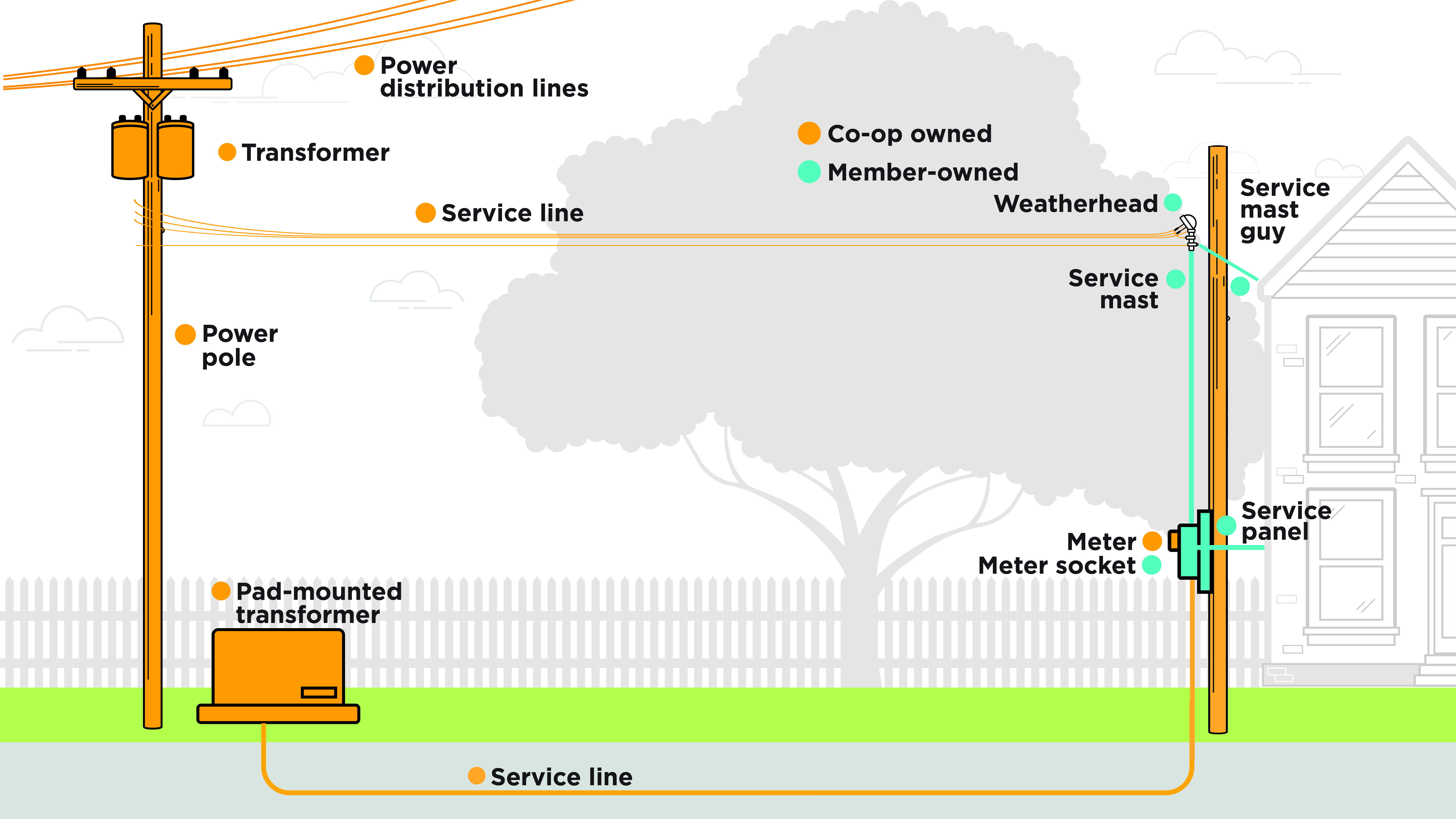 member responsibilities